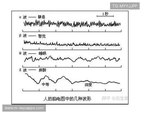 国家队引入运动睡眠专家 优化赛前休息方案，运动员赛前睡觉休息