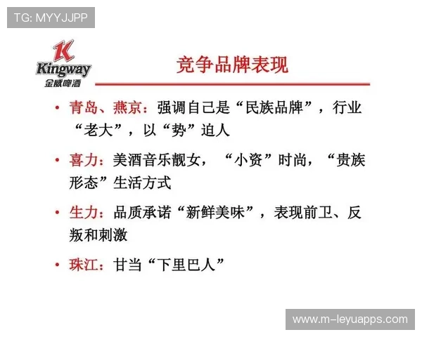 综合赛事品牌建设及推广策略 综合赛事品牌建设及推广策略